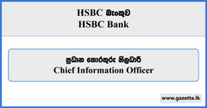 Chief Information Officer - HSBC Bank Vacancies 2024