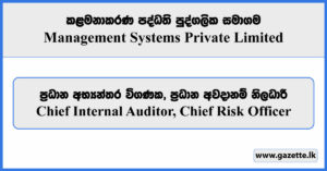 Chief Internal Auditor, Chief Risk Officer - Management Systems Private Limited Vacancies 2025