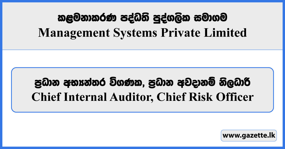 Chief Internal Auditor, Chief Risk Officer - Management Systems Private Limited Vacancies 2025