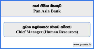 Chief Manager (Human Resources) - Pan Asia Bank Vacancies 2024