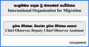 Chief Observer, Deputy Chief Observer Assistant - International Organization for Migration Vacancies 2024