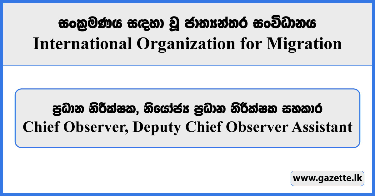 Chief Observer, Deputy Chief Observer Assistant - International Organization for Migration Vacancies 2024