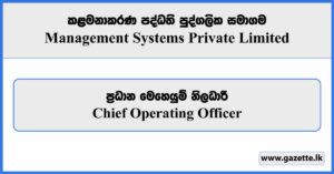 Chief Operating Officer - Management Systems Private Limited Vacancies 2025