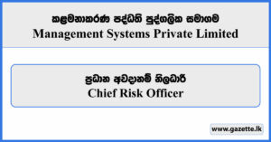 Chief Risk Officer - Management Systems Private Limited Vacancies 2024