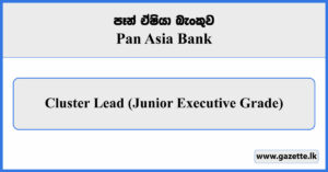 Cluster Lead (Junior Executive Grade) - Pan Asia Bank Vacancies 2024