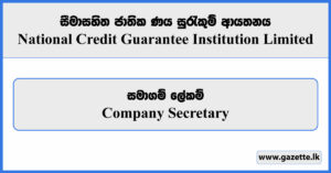 Company Secretary - National Credit Guarantee Institution Limited Vacancies 2024