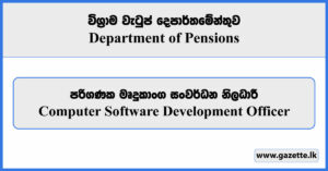 Computer Software Development Officer - Department of Pensions Vacancies 2025