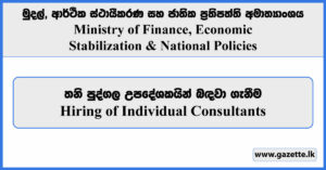 Hiring of Individual Consultants - Ministry of Finance, Economic Stabilization & National Policies Vacancies 2024