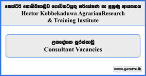 Consultant - Hector Kobbekaduwa Agrarian Research & Training Institute Vacancies 2024