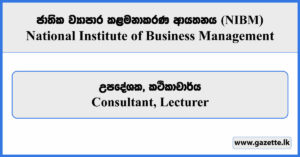 Consultant, Lecturer - National Institute of Business Management (NIBM) Vacancies 2024