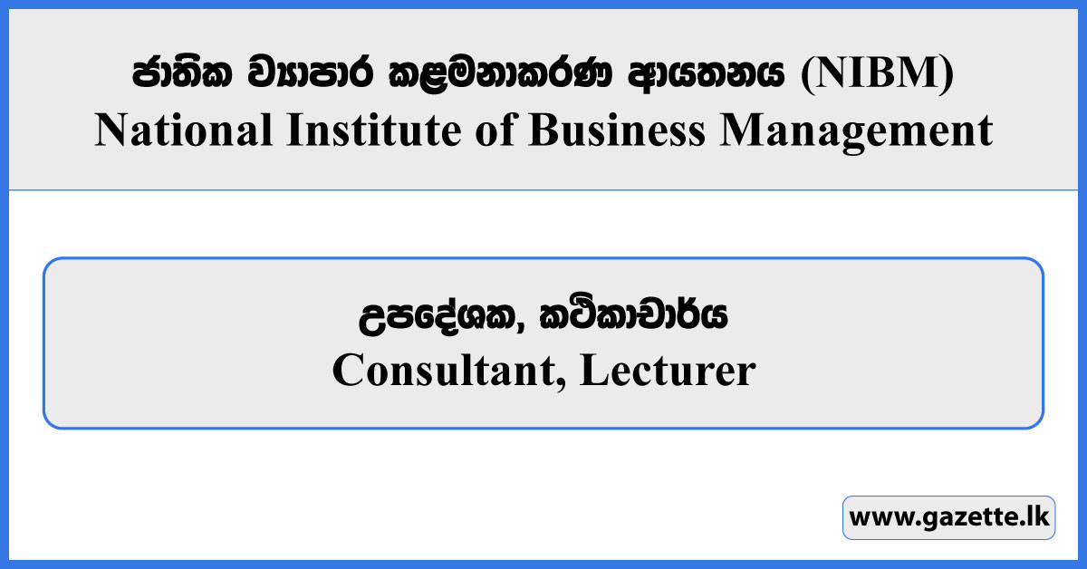 Consultant, Lecturer - National Institute of Business Management (NIBM) Vacancies 2024