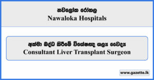 Consultant Liver Transplant Surgeon - Nawaloka Hospitals Vacancies 2025