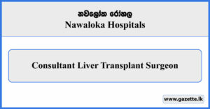 Consultant Liver Transplant Surgeon - Nawaloka Hospitals Vacancies 2025