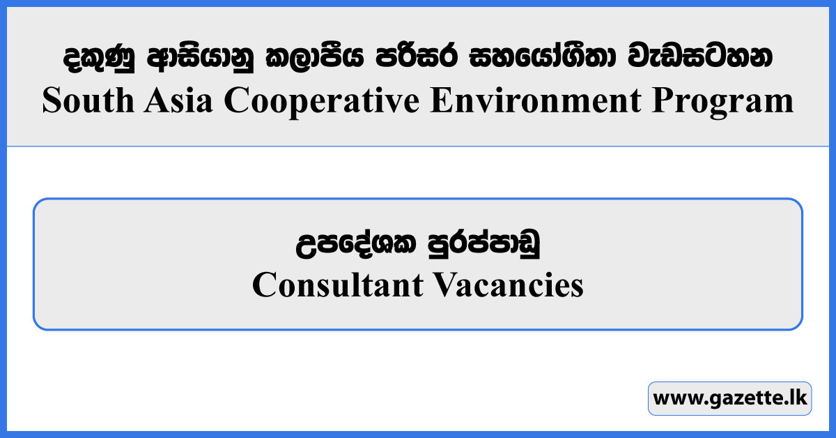 Consultant - South Asia Cooperative Environment Program Vacancies 2025