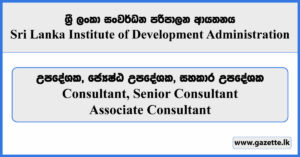 Consultant, Senior Consultant, Associate Consultant - Sri Lanka Institute of Development Administration Vacancies 2024