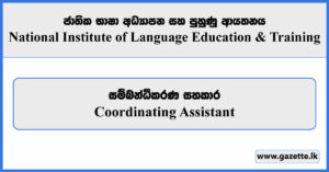 Coordinating Assistant - National Institute of Language Education & Training Vacancies 2024