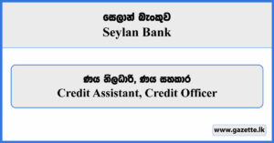 Credit Assistant, Credit Officer - Seylan Bank Vacancies 2024