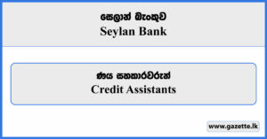 Credit Assistant - Seylan Bank Vacancies 2023