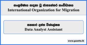 Data Analyst Assistant - International Organization for Migration Vacancies 2024