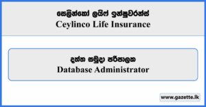 Database Administrator - Ceylinco Life Insurance Vacancies 2024