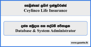 Database & System Administrator - Ceylinco Life Insurance Vacancies 2024