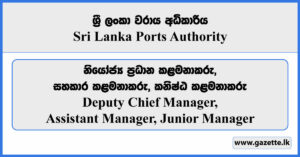 Deputy Chief Manager, Assistant Manager, Junior Manager - Sri Lanka Ports Authority Vacancies 2024