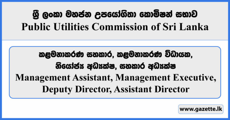 Management Assistant, Management Executive, Deputy Director, Assistant ...