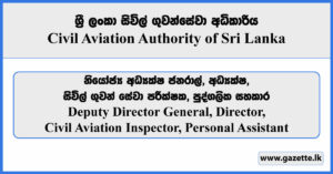 Deputy Director General, Director, Civil Aviation Inspector, Personal Assistant - Civil Aviation Authority Vacancies 2025