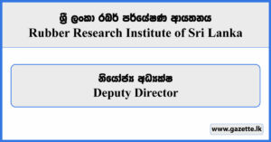 Deputy Director - Rubber Research Institute of Sri Lanka Vacancies 2024