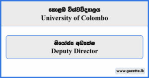 Deputy Director - University of Colombo Vacancies 2024