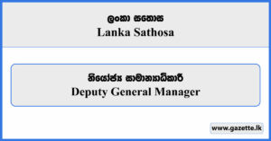 Deputy General Manager - Lanka Sathosa Vacancies 2025