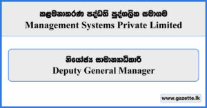 Deputy General Manager - Management Systems Private Limited Vacancies 2024