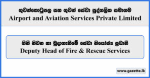 Deputy Head of Fire & Rescue Services - Airport & Aviation Services Private Limited Vacancies 2025