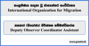 Deputy Observer Coordinator Assistant - International Organization for Migration Vacancies 2024