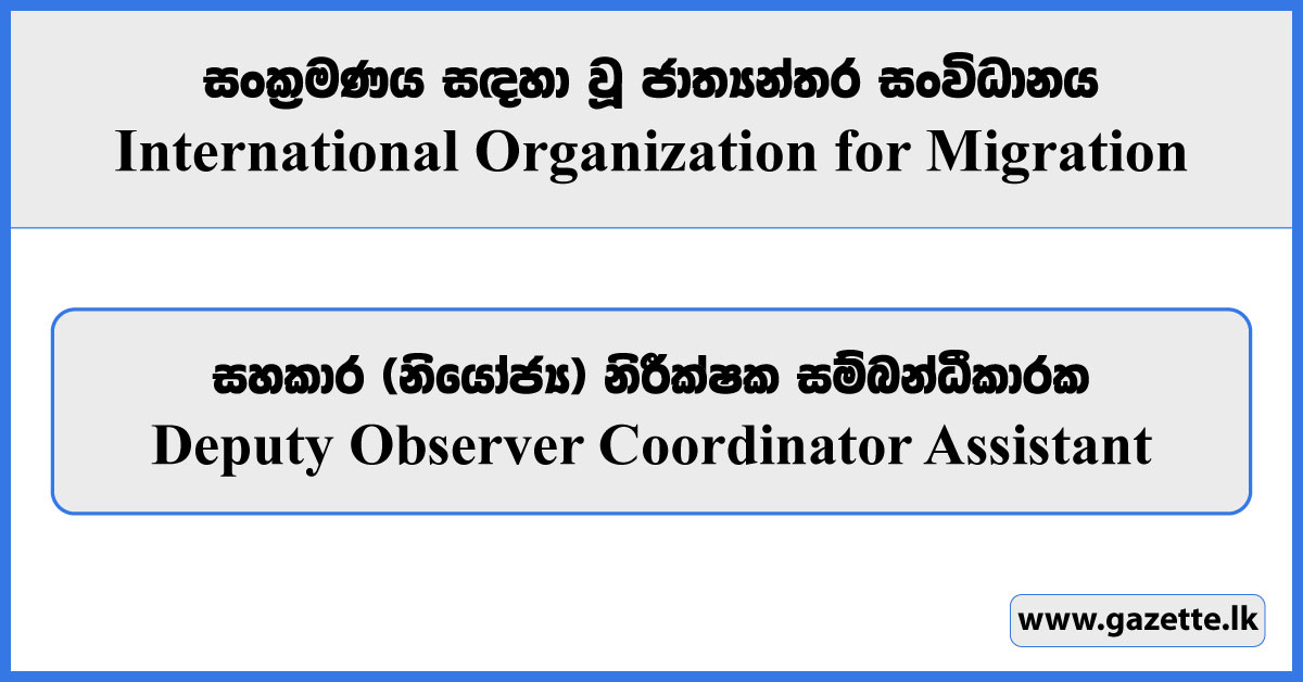 Deputy Observer Coordinator Assistant - International Organization for Migration Vacancies 2024