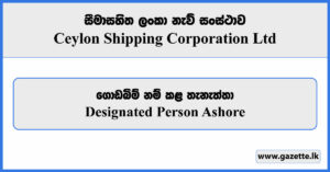 Designated Person Ashore - Ceylon Shipping Corporation Vacancies 2024