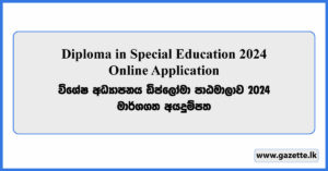 Diploma in Special Education 2024 - Online Application