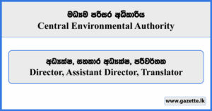 Director, Assistant Director, Translator - Central Environmental Authority Vacancies 2024