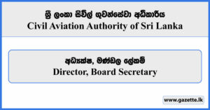 Director, Board Secretary - Civil Aviation Authority Vacancies 2024