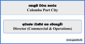 Director (Commercial & Operations) - Colombo Port City Vacancies 2025