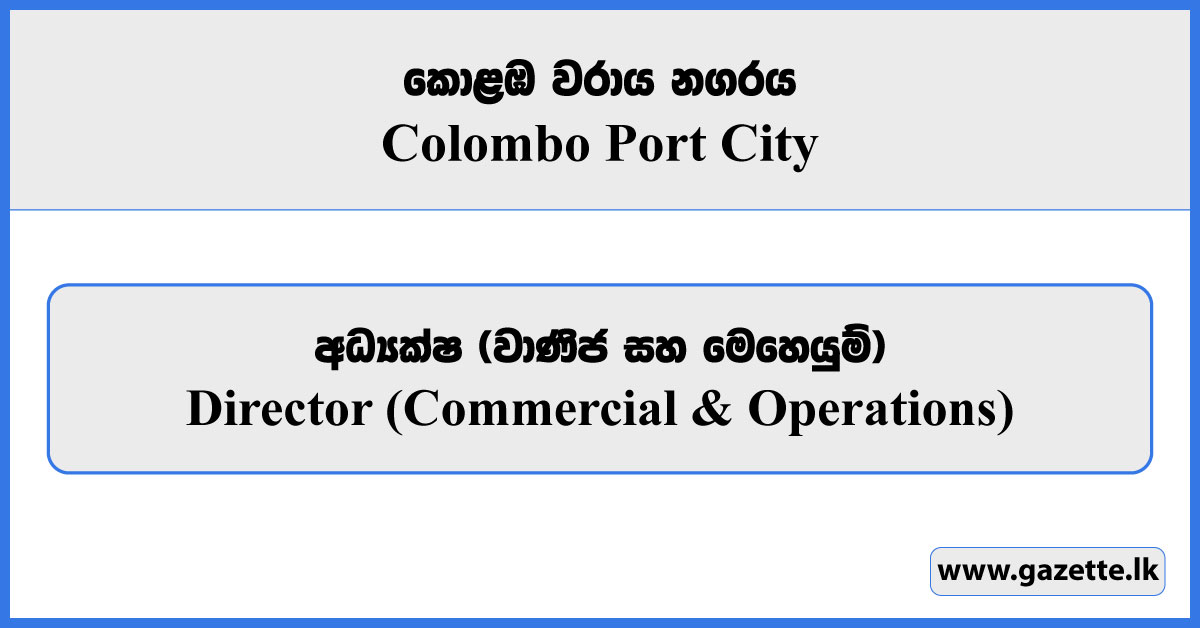 Director (Commercial & Operations) - Colombo Port City Vacancies 2025