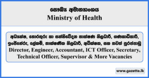 Director, Engineer, Accountant, ICT Officer, Technical Officer, Secretary, Supervisor & More Vacancies - Ministry of Health Vacancies 2024