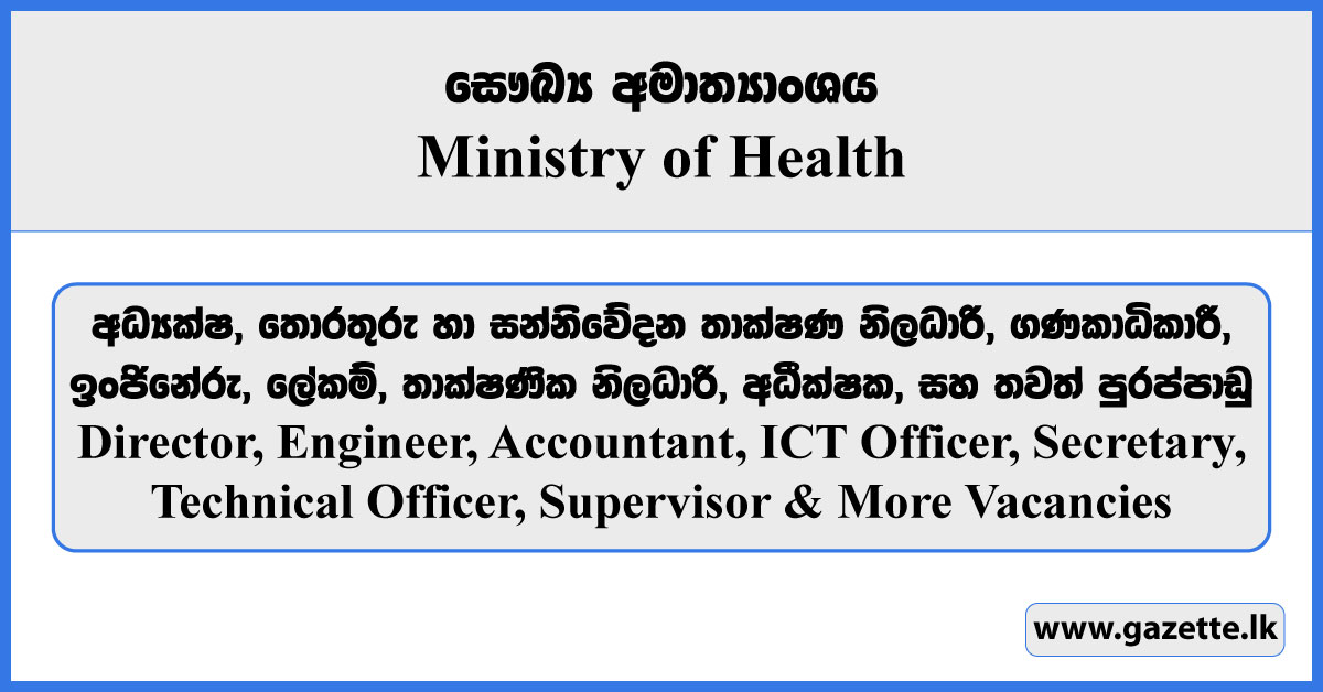 Director, Engineer, Accountant, ICT Officer, Technical Officer, Secretary, Supervisor & More Vacancies - Ministry of Health Vacancies 2024