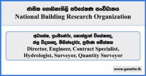 Director, Engineer, Contract Specialist, Hydrologist, Surveyor, Quantity Surveyor - National Building Research Organisation Vacancies 2025