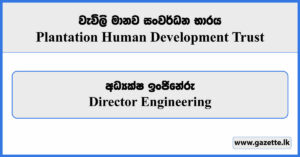 Director Engineering - Plantation Human Development Trust Vacancies 2024