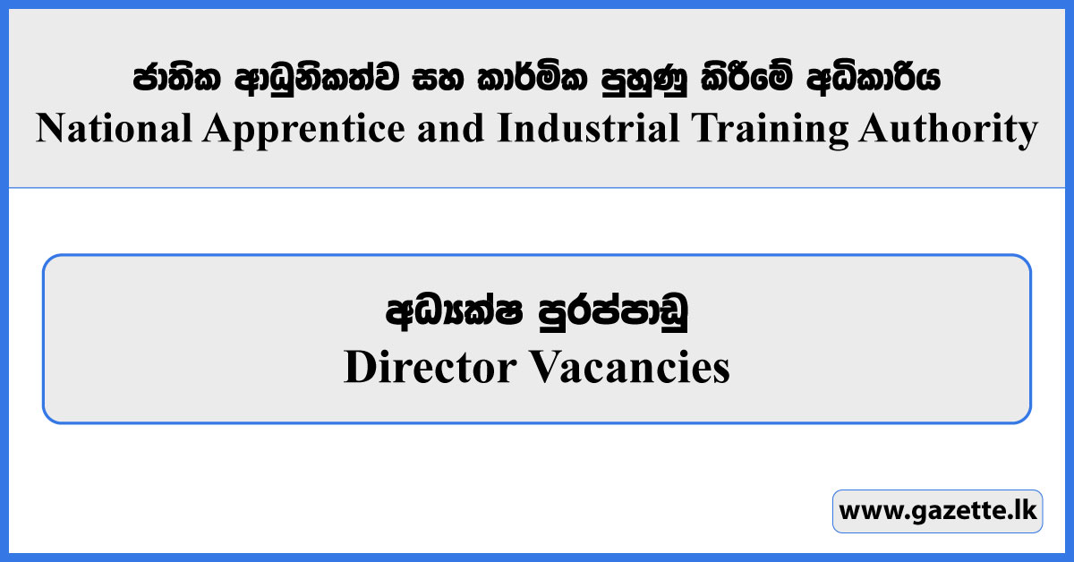 Director - National Apprentice and Industrial Training Authority (NAITA) Vacancies 2024