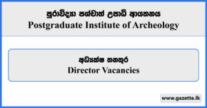 Director - Postgraduate Institute of Archeology Vacancies 2024