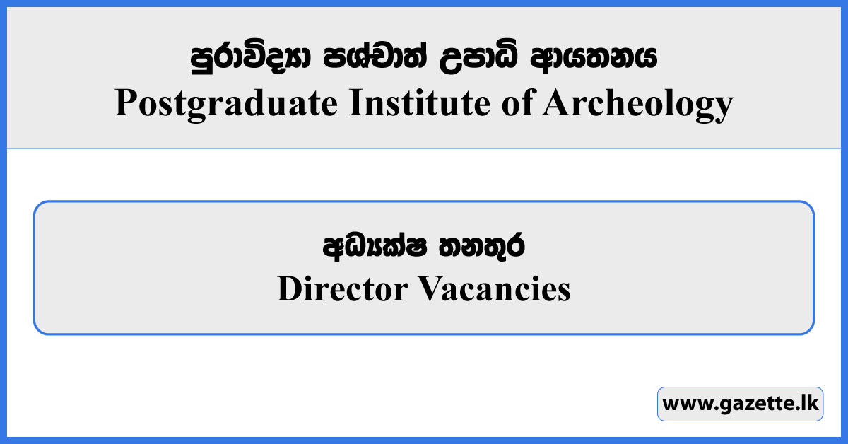 Director - Postgraduate Institute of Archeology Vacancies 2024