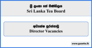 Director - Sri Lanka Tea Board Vacancies 2024