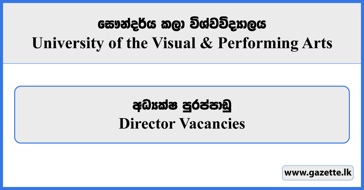 Director - University of the Visual & Performing Arts Vacancies 2024